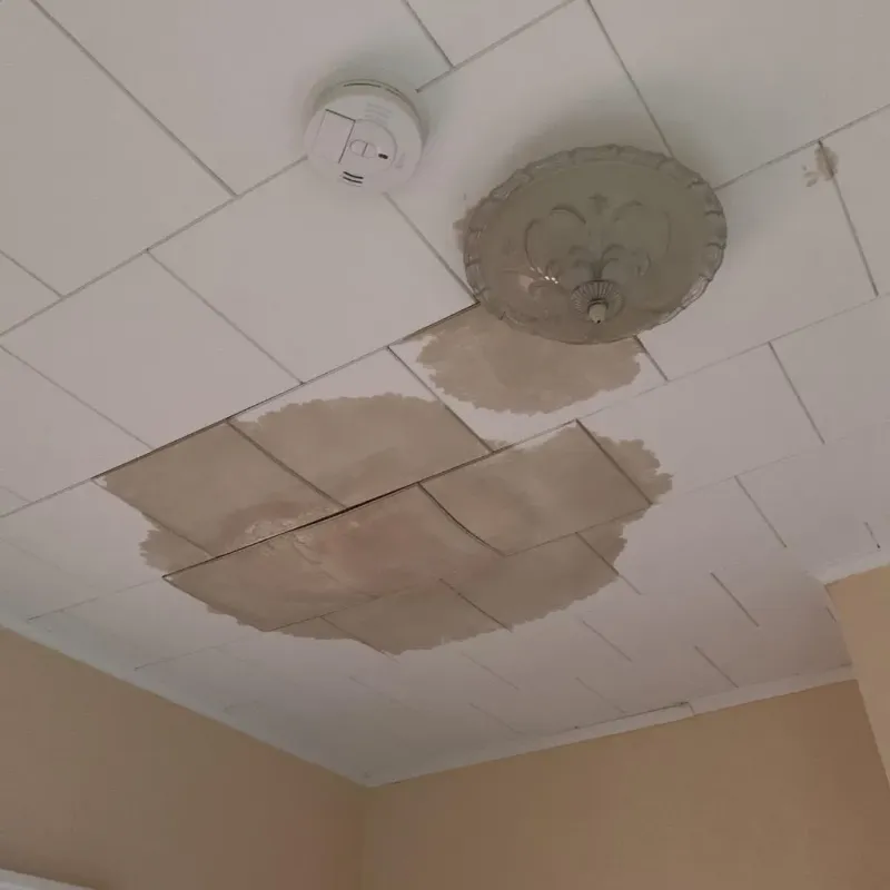 Ceiling Water Damage Repair in Hillsboro, OH