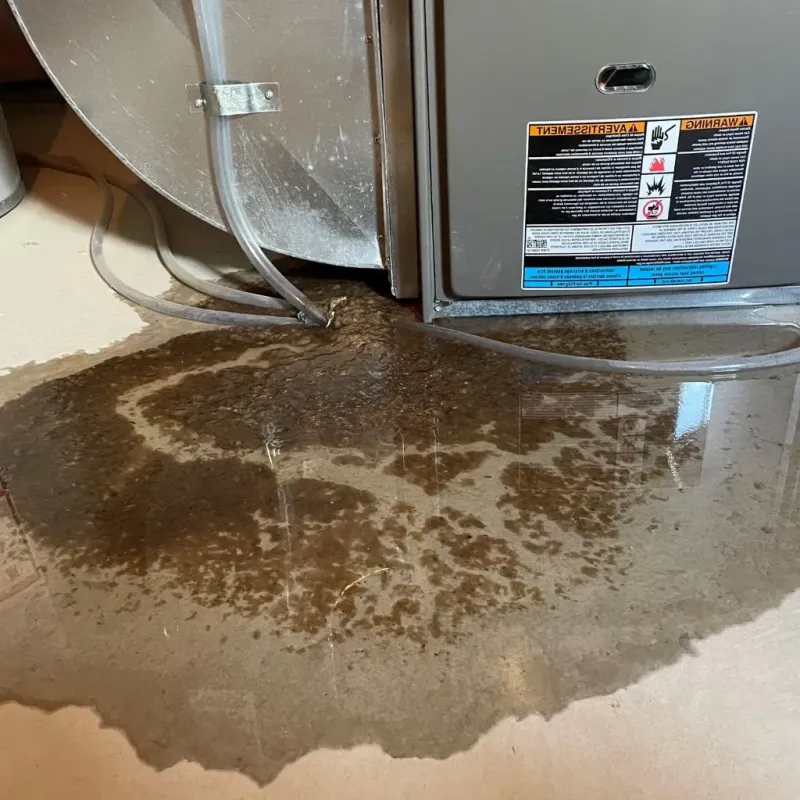 Pipe Burst and Leak Restoration in Hillsboro, OH