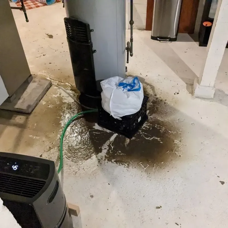 Sewage Backup Cleanup Service in Hillsboro, OH